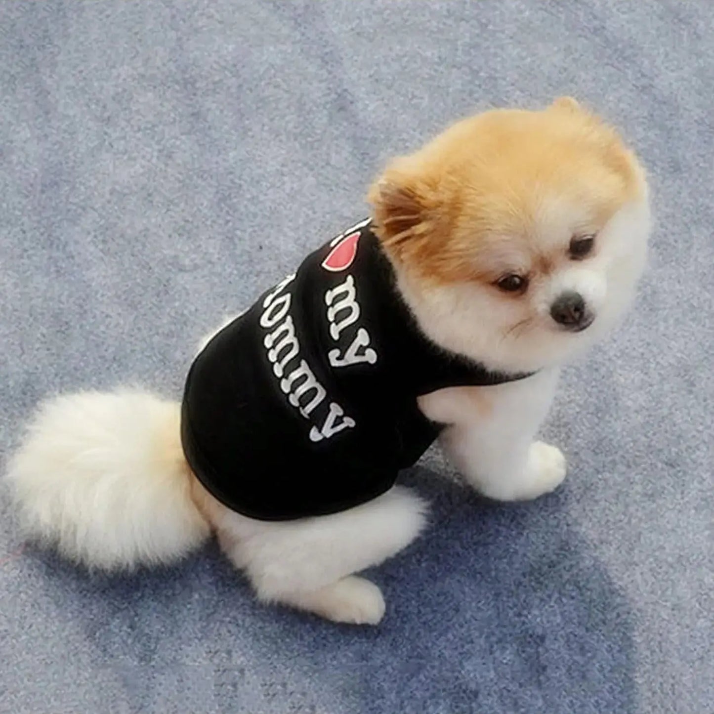 Cute pet vest expresses love while keeping pets stylish daily.