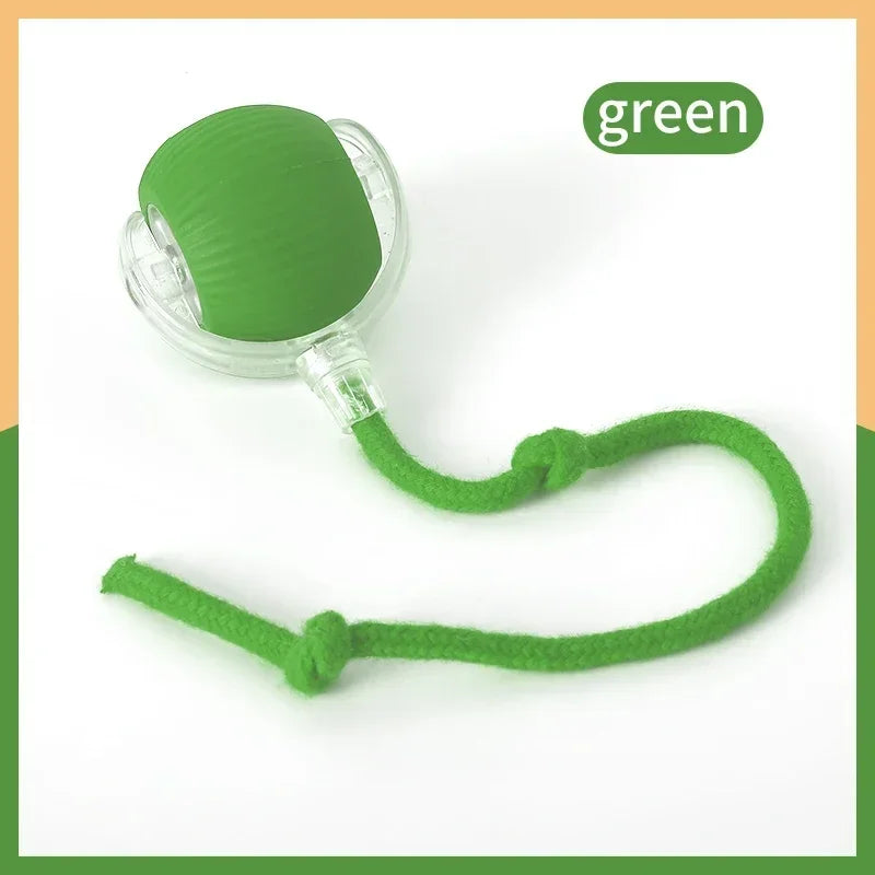 Smart rolling ball entertains pets, encouraging exercise and natural instincts.