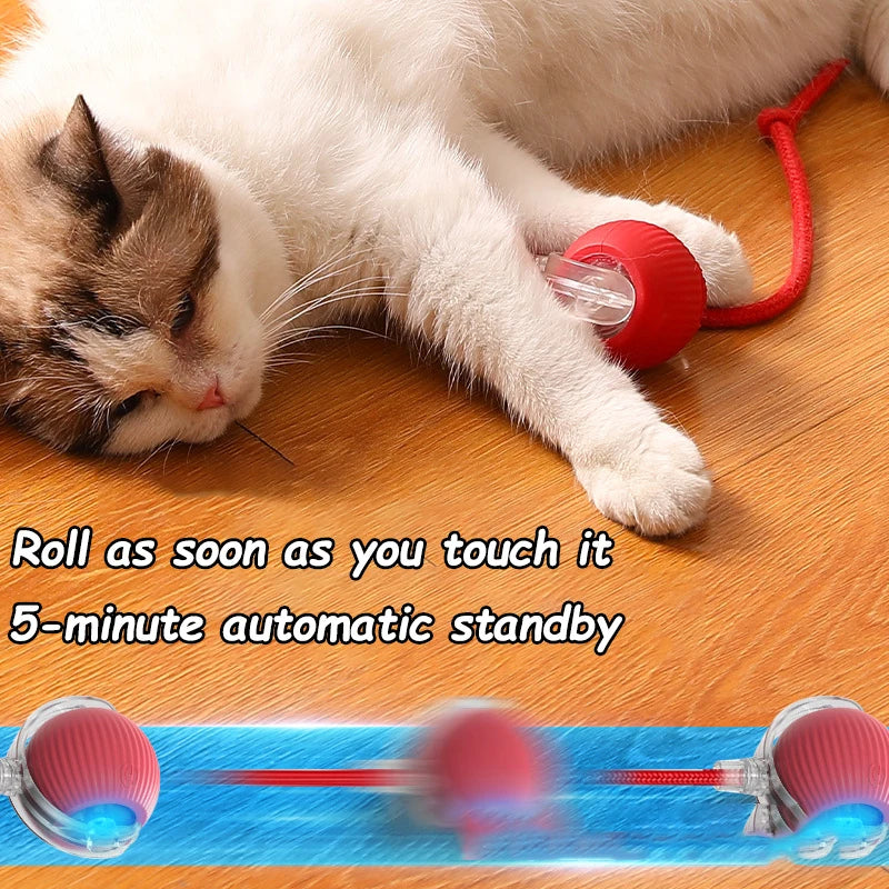 Smart rolling ball entertains pets, encouraging exercise and natural instincts.