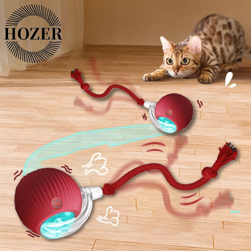 Smart rolling ball entertains pets, encouraging exercise and natural instincts.