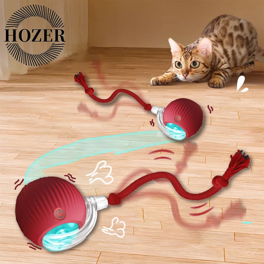 Smart rolling ball entertains pets, encouraging exercise and natural instincts.