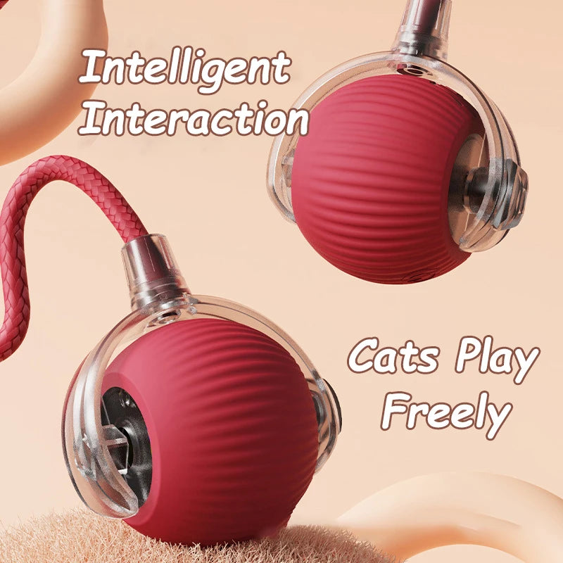 Smart rolling ball entertains pets, encouraging exercise and natural instincts.