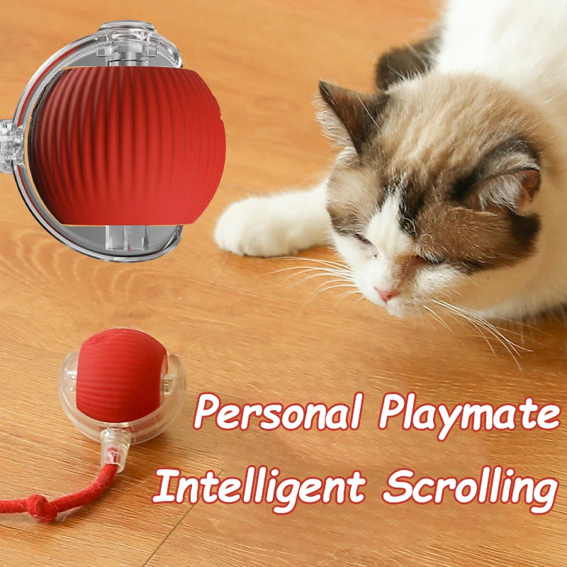 Smart rolling ball entertains pets, encouraging exercise and natural instincts.