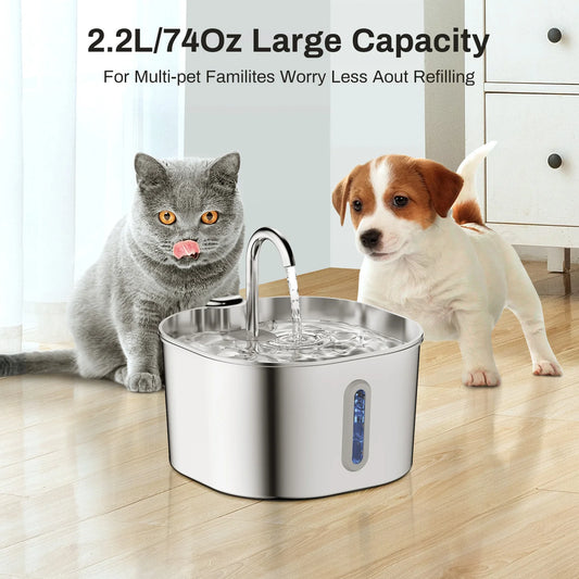 Automatic stainless steel fountain keeps pets hydrated with fresh flowing water.