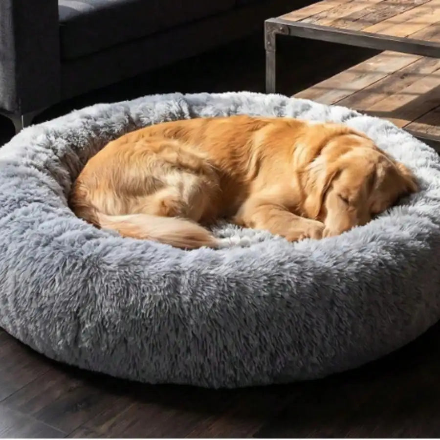Soft calming donut bed reduces anxiety and provides cozy comfort.