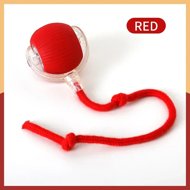 Smart rolling ball entertains pets, encouraging exercise and natural instincts.