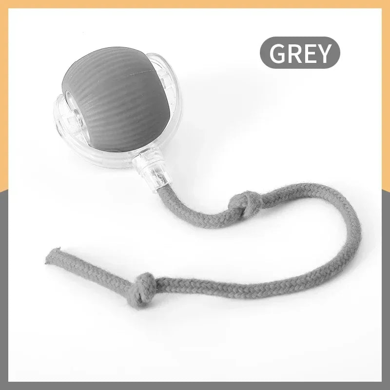 Smart rolling ball entertains pets, encouraging exercise and natural instincts.