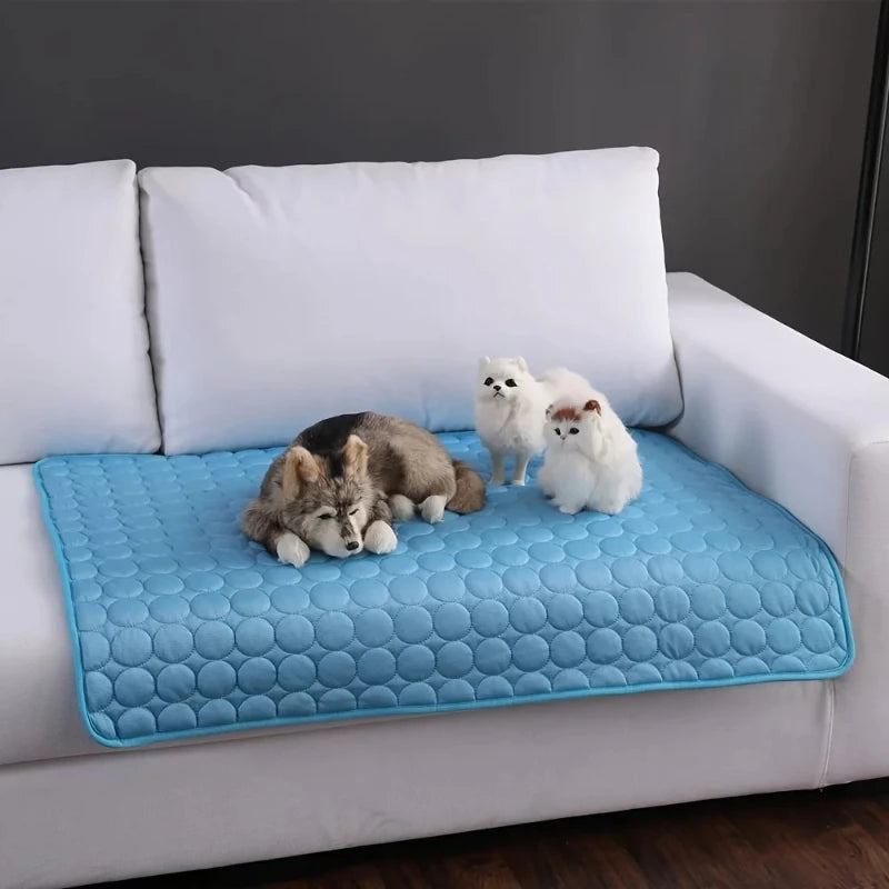 Cooling mat keeps pets comfortable and refreshed during hot summer days.